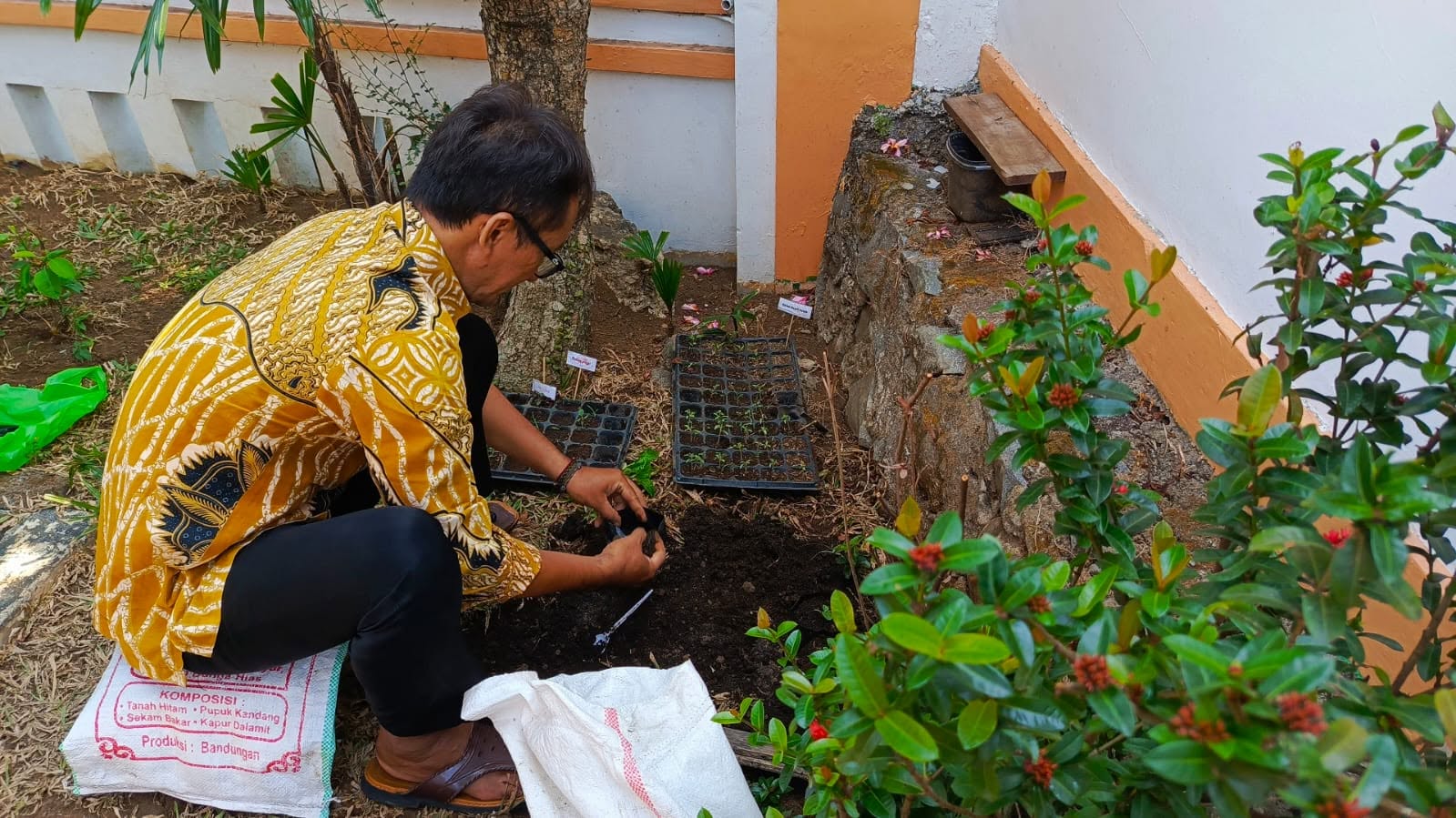 Pembibitan Sayuran, BLA Semarang Membangun Kepedulian terhadap Lingkungan